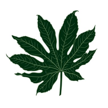 Yaprak Çizgi Simgesi. Vektör çizimi 