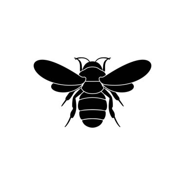 Arı vektörü çizimi 