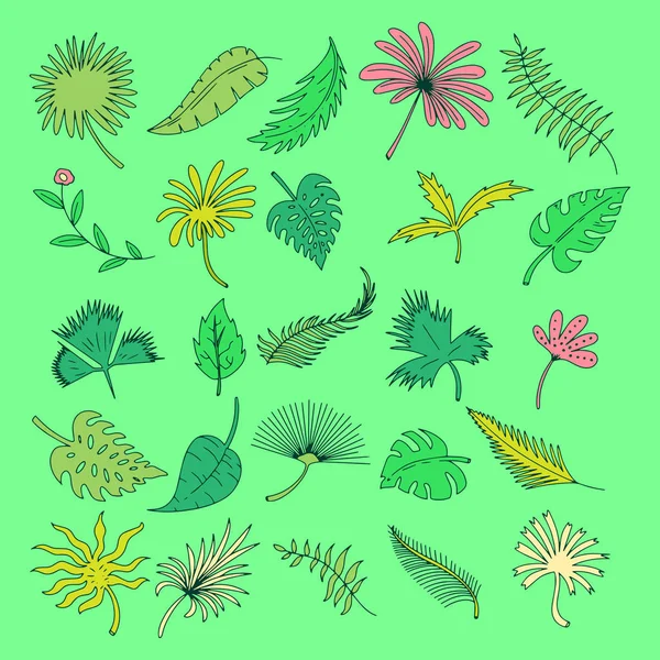 Handgezeichnete Florale Botanische Pflanzen Doodle Vektor Elemente Wild Und Frei — Stockvektor