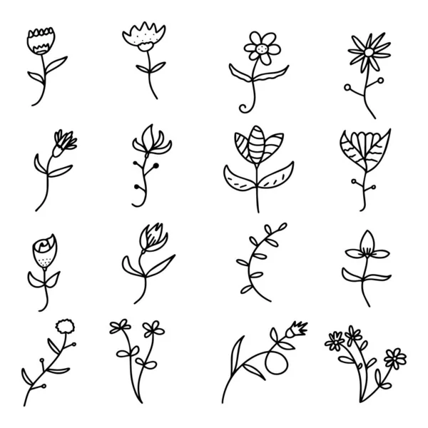 Pianta Botanica Floreale Disegnata Mano Doodle Elementi Vettoriali Selvaggio Libero — Vettoriale Stock
