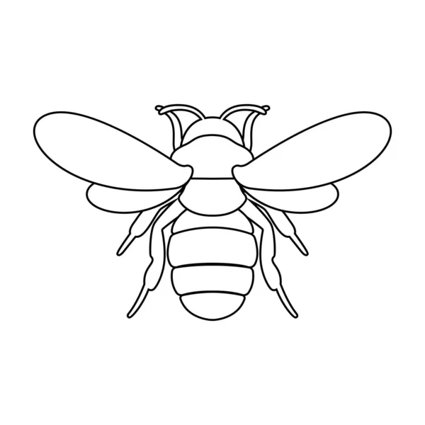 Ilustración Vector Abeja — Archivo Imágenes Vectoriales