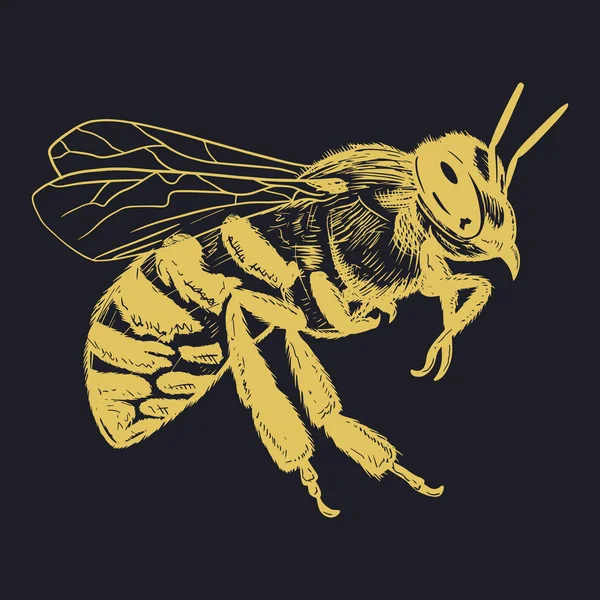 Ilustración Vector Abeja — Archivo Imágenes Vectoriales