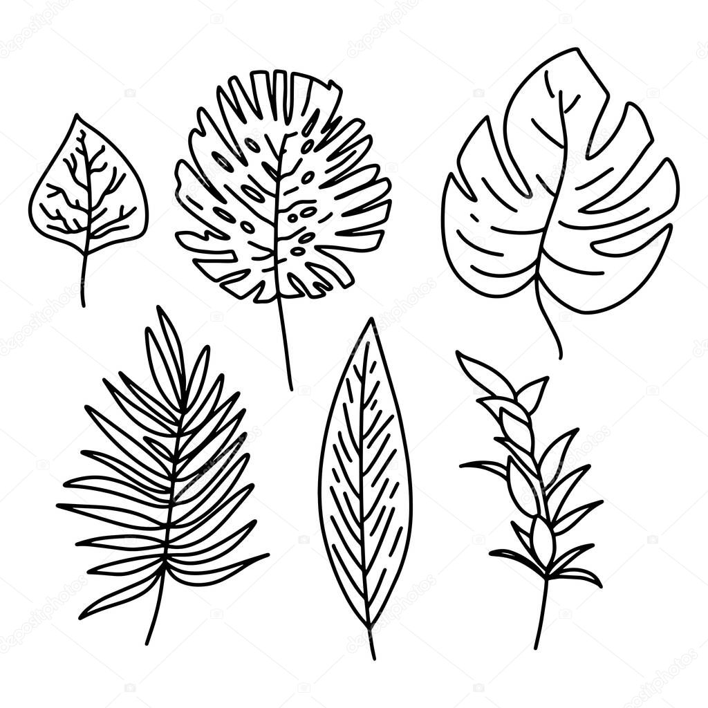 Leaf Line Icon Set. Minimal Flat Vector