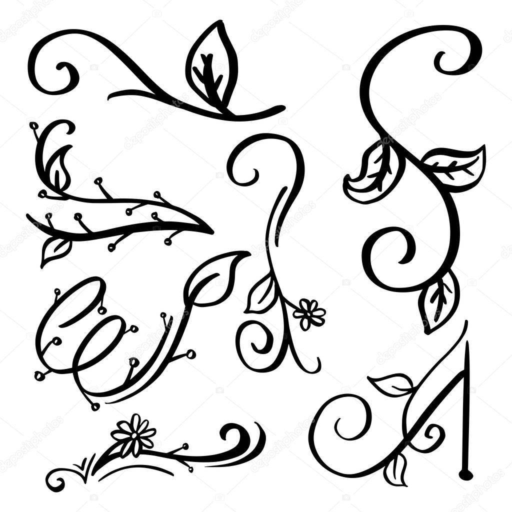 Collection of Handdrawn swirls and curves. Design element of ornaments for wedding cards, in invitations, save the date cards, flyers for restaurant