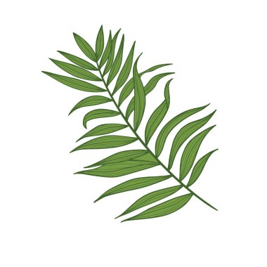 Yaprak Çizgi Simgesi. Vektör çizimi 