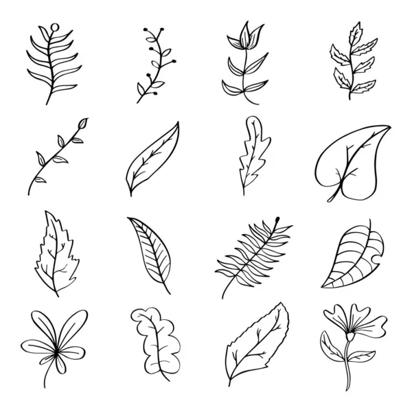 Handgezeichnete Florale Botanische Pflanzen Doodle Vektor Elemente Wild Und Frei — Stockvektor