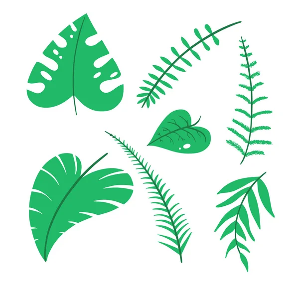 Ручной Рисунок Растительных Растительных Векторных Элементов Дикая Свободная Идеально Подходит — стоковый вектор