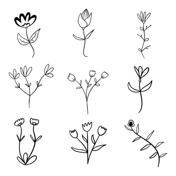 Pianta Botanica Floreale Disegnata Mano Doodle Elementi Vettoriali Selvaggio Libero — Vettoriale Stock