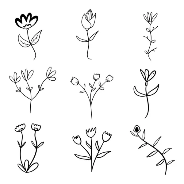 Planta Botánica Floral Dibujada Mano Doodle Vector Elementos Salvaje Libre — Vector de stock