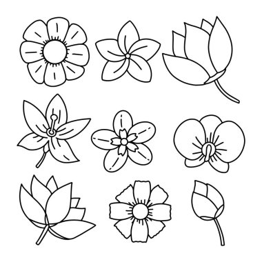 Çiçekler hazır. Elle çizilen çiçek elementleri koleksiyonu - Vektör illüstrasyon Eps