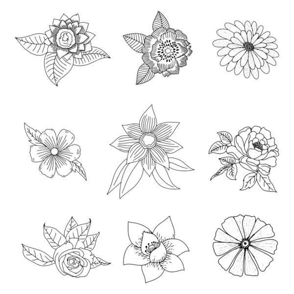 Blumen Gesetzt Sammlung Floraler Elemente Von Hand Gezeichnet Vektorillustration Eps — Stockvektor