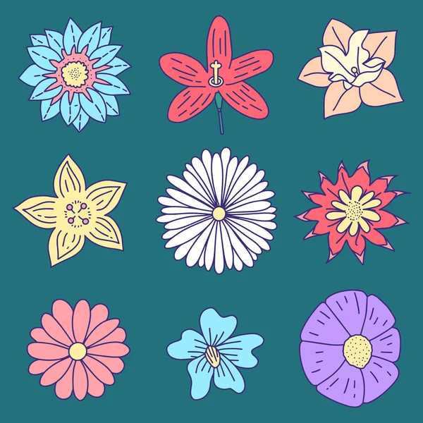 Set Flores Colección Elementos Florales Dibujados Mano Ilustración Vectorial Eps — Vector de stock