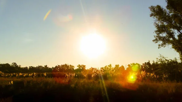 Lens flare at camera lens during sunset with plants on countryside