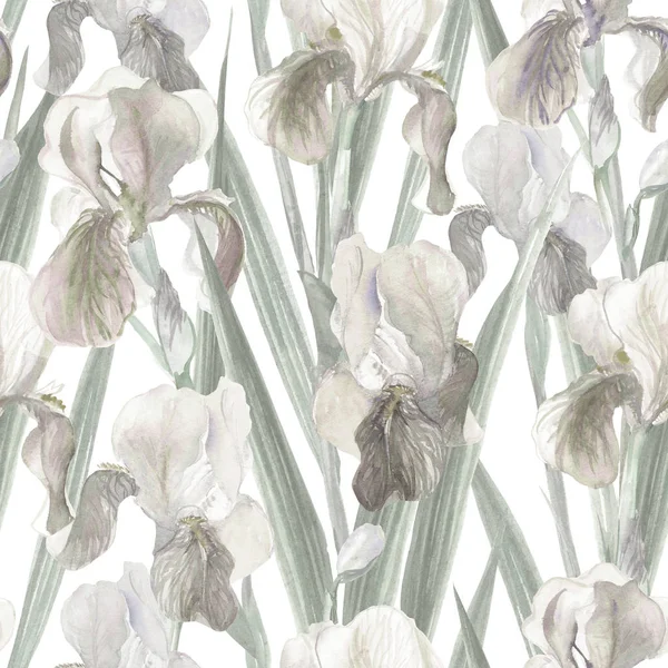 Απρόσκοπτη Μοτίβο Της Ίριδας Λουλούδια Ζωγραφισμένο Υδατογραφούν Ουδέτερο Απαλό Floral — Φωτογραφία Αρχείου