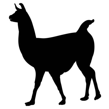 Llama tek renk profil siyah gerçekçi siluet gider