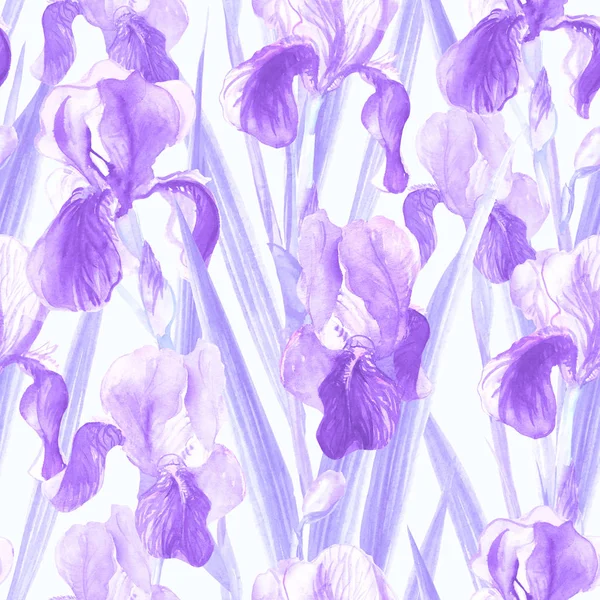 Sömlösa Mönster Iris Blommor Målade Akvarell Solid Bakgrund Färg Lila — Stockfoto