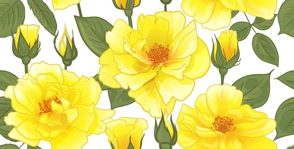 Квітковий візерунок з жовтими трояндами для дизайну поверхні, а також упаковка і текстиль — стоковий вектор