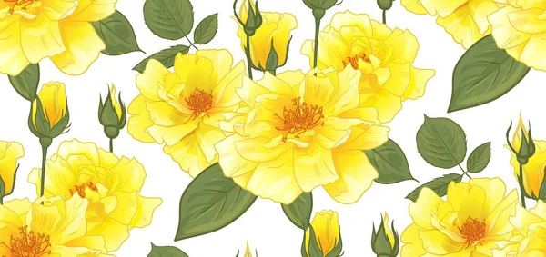 Квітковий візерунок з жовтими трояндами для дизайну поверхні, а також упаковки та текстилю — стоковий вектор