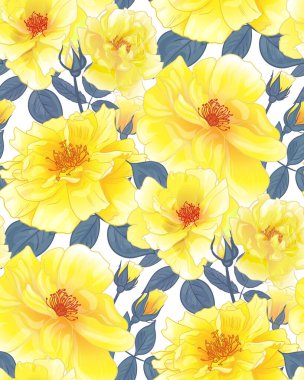 Tasarım için beyaz arka planda gülleri olan kadınlar için çiçek deseni