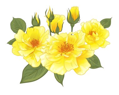 Tebrik kartları için bir buket gül ve sarı güllü tasarım.