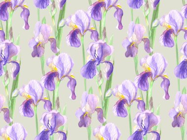 İris çiçeklerinin kusursuz deseni suluboya