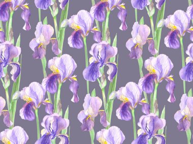 Suluboya ile boyanmış süsen çiçeklerinin kusursuz deseni