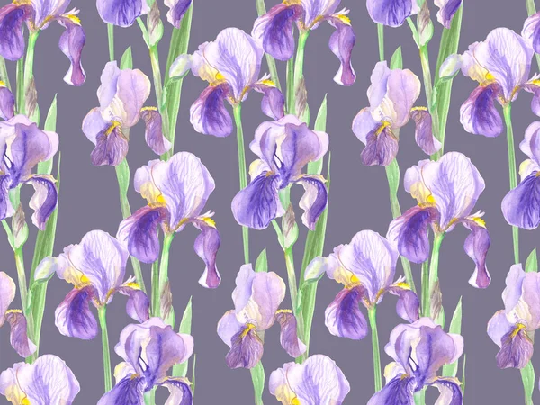 Suluboya ile boyanmış süsen çiçeklerinin kusursuz deseni