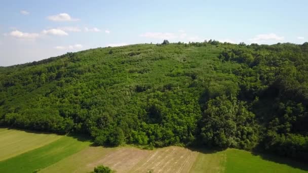 Zielone Pola Wzgórza Wsi Zielone Pola Wzgórza Countrysidesunny Dzień Wsi — Wideo stockowe