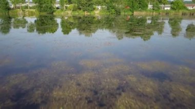 Parlak bir yaz gününde gölette ağaçların ve gökyüzünün Havuzdaki Yansıması Ağaçlar ve Gökyüzünün Yansıması 