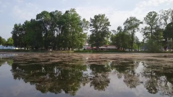 Reflection Trees Pond Reflection Trees Sky Pond Bright Summer Day — Stock Video