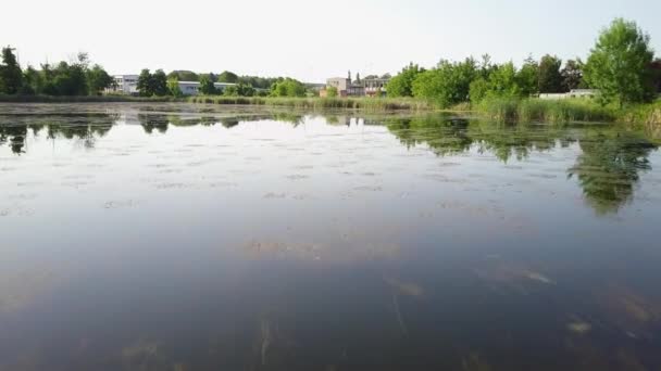 Reflection Sky Trees Pond Reflection Sky Trees Pond Bright Summer — Stock Video