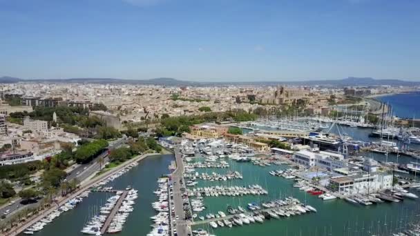 Haven van Palma de Mallorca, Spanje — Stockvideo