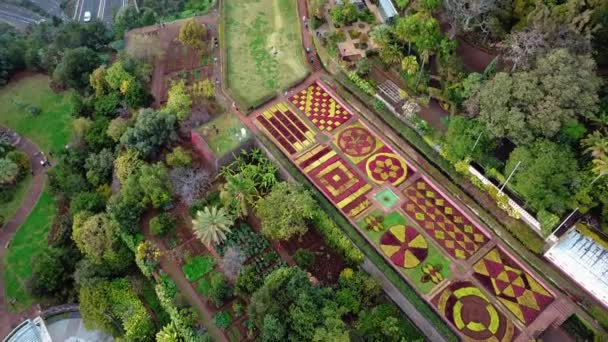 Dağın Tepesinden Görünümü Funchal Madeira Portekiz Güzel Botanik Bahçesi Funchal — Stok video