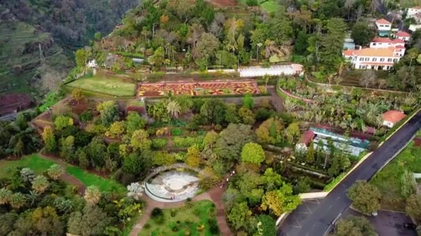 Όμορφο Βοτανικό Κήπο Στη Φουντσάλ Μαδέρα Πορτογαλία Εναέρια Πλάνα Από — Αρχείο Βίντεο