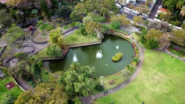 Parque Numa Ilha Tropical Madeira Filmagem Aérea Parque Santa Catarina — Vídeo de Stock