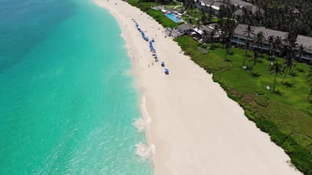 Paradiesinsel Bahamas Klares Türkisfarbenes Wasser Und Grüne Palmen Die Atemberaubende — Stockvideo
