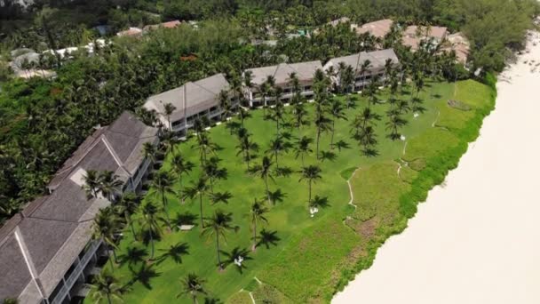 Paradiesinsel Bahamas Grüne Palmen Und Strandunterkünfte Die Atemberaubende Schönheit Der — Stockvideo
