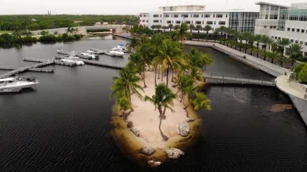 Grand Cayman Uma Pequena Ilha Feita Pelo Homem Com Palmeiras — Vídeo de Stock