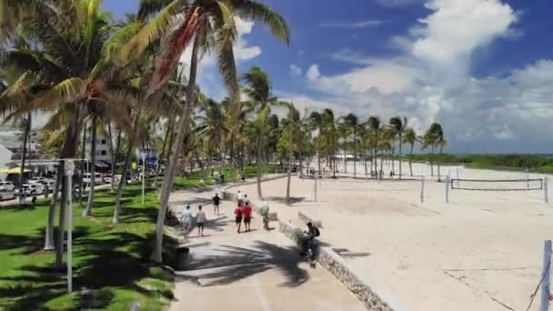 迈阿密 南海滩 Lummus 海滩和排球场 南海滩鸟瞰图 迈阿密 棕榈树和沙滩排球场在Lummus公园 — 图库视频影像
