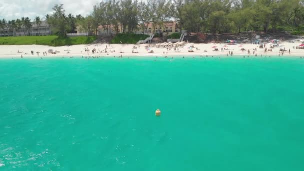 Paradiesinsel Bahamas Klares Türkisfarbenes Wasser Kohlstrand Die Atemberaubende Schönheit Der — Stockvideo