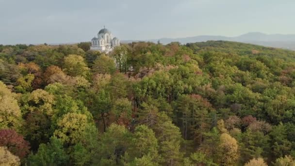 Kościół Lesie Szczycie Wzgórza Zdjęcia Lotnicze Kościoła Jerzego Znany Również — Wideo stockowe