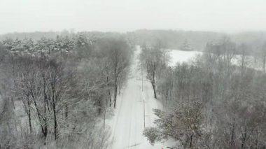 Bir ağaç ve parkv bir yol üzerinde bir kar yağışı havadan görünümü