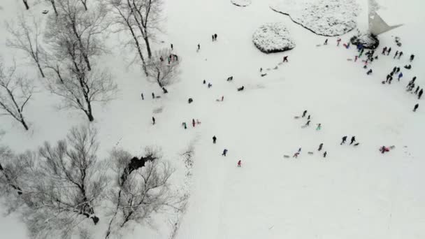 Luchtfoto Van Kinderen Spelen Sneeuw Een Park — Stockvideo