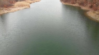 Kışın çıplak orman ağaçlarıyla çevrili bir göl