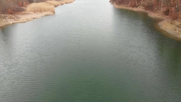 Lago Invierno Rodeado Bosque Desnudo — Vídeo de stock
