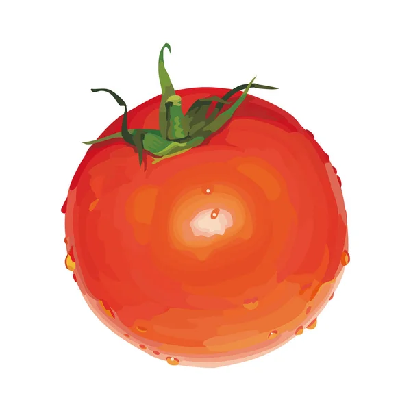 Tomato Vector Design Illustration Template — Stock Vector