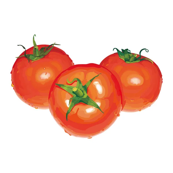 Tomaten Vektor Design Illustration Vorlage — Stockvektor