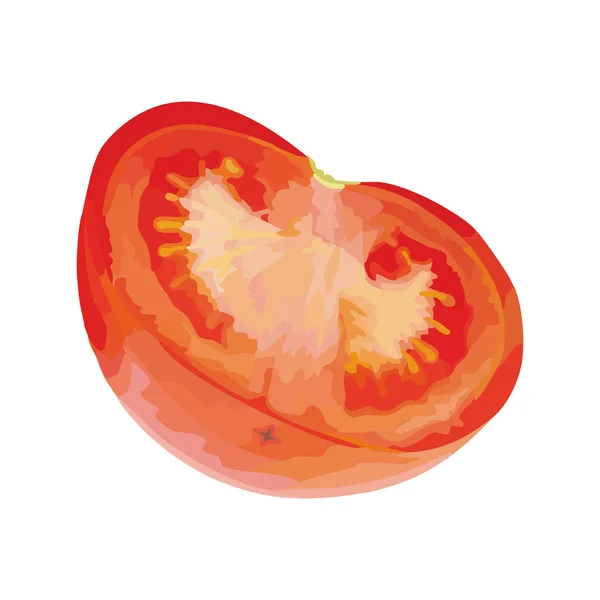 Modelo Ilustração Desenho Vetorial Tomate —  Vetores de Stock