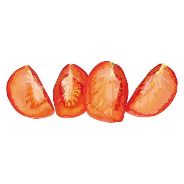 Tomato Vector Design Illustration Template — Stock Vector