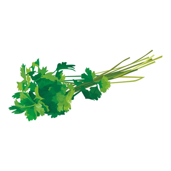 Vegetable Vector Design Illustration Template — Stock Vector